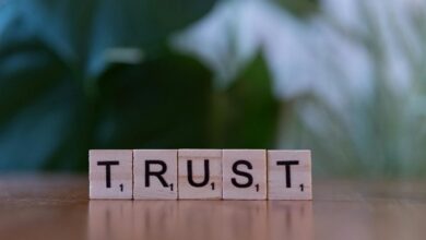 brand loyalty principles overview