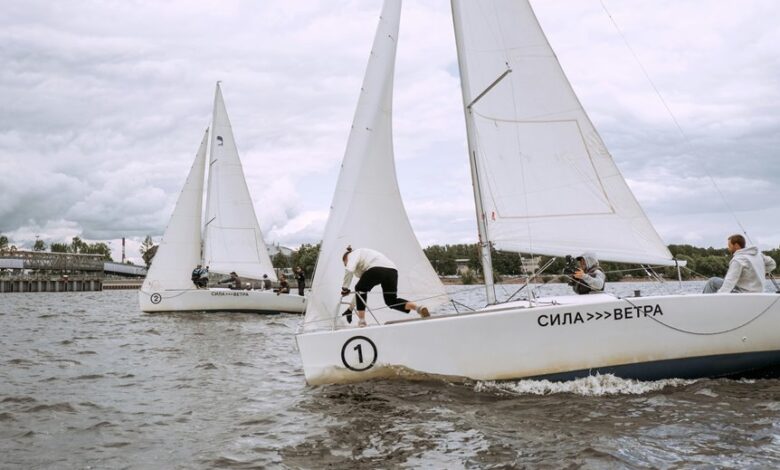 regulatory challenges navigation strategies