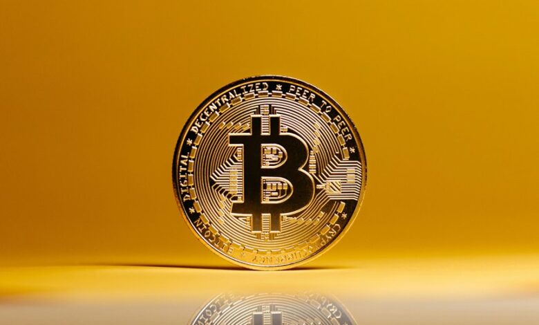 crypto halving news update