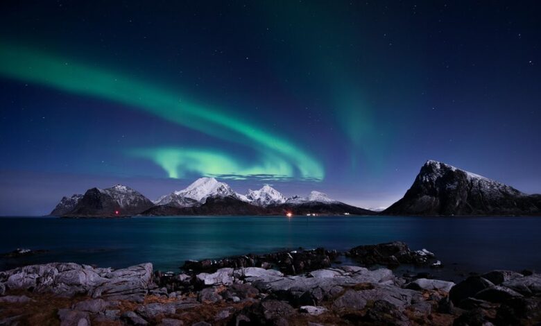 majestic nordic ice creature