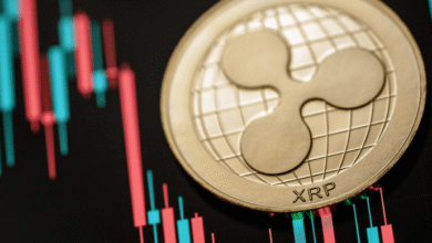 How to Predict XRP Price USDT Using Charts