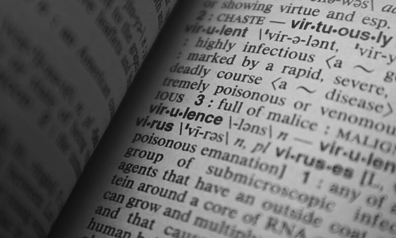 understanding meaning