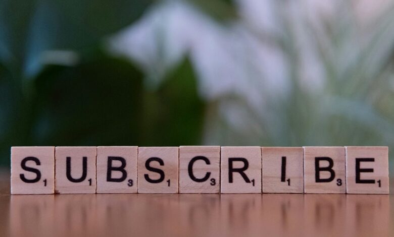 elevate your online marketing