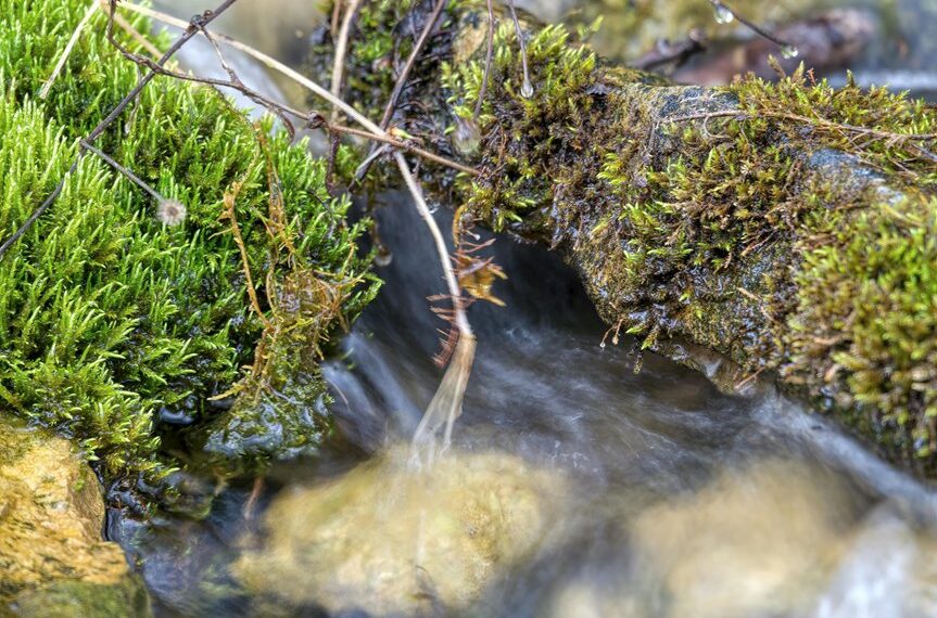 luminous flow start 111 9050 204